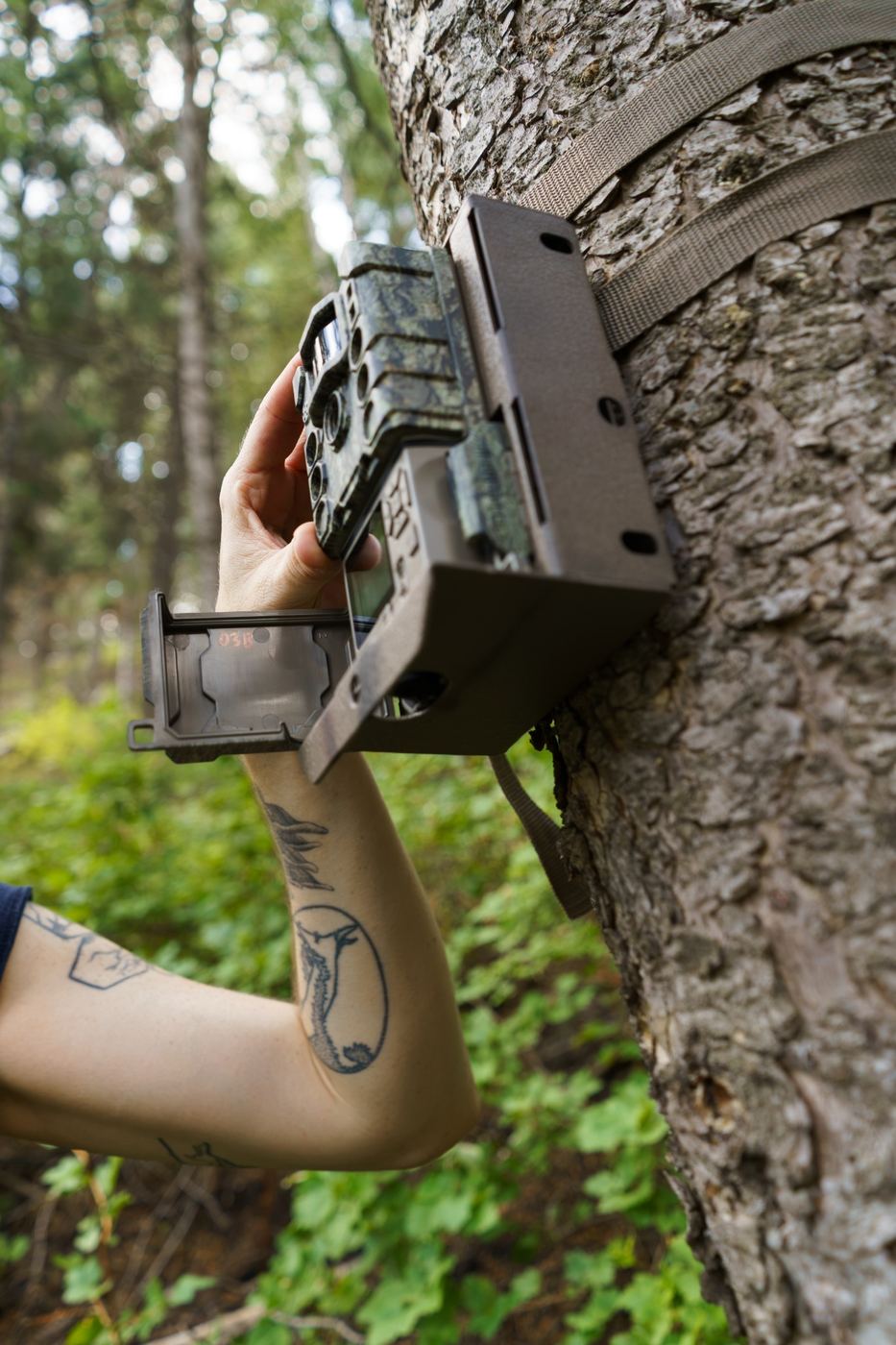 Securing the trail cameras
